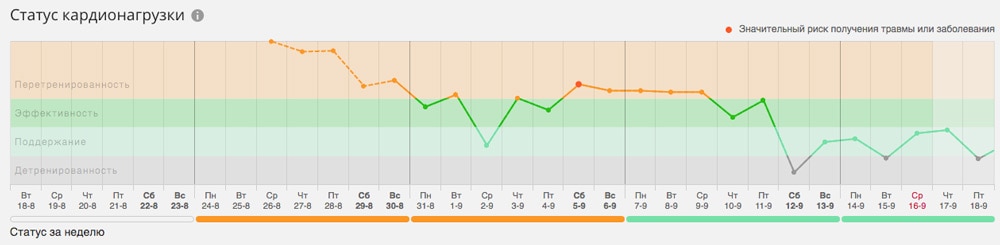 Отчёт о кардионагрузке в Polar Flow